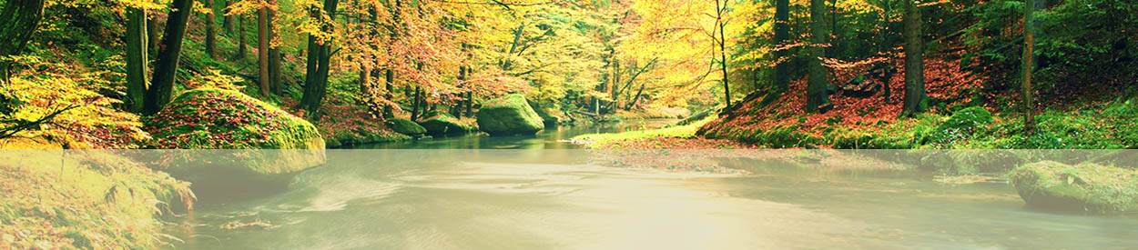 #nivo3 Mom's Night Out is the First Monday of Every Month